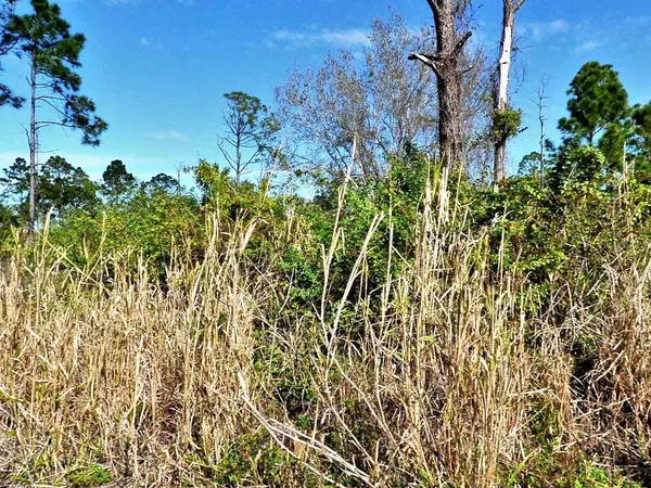 FABER CT, North Port, FL 34288