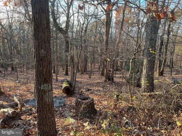 ALTA VISTA, Harpers Ferry, WV 25425