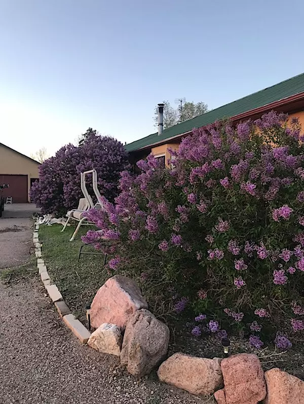 2550 Slocum Rd, Peyton, CO 80831-Front and Lilac Bush