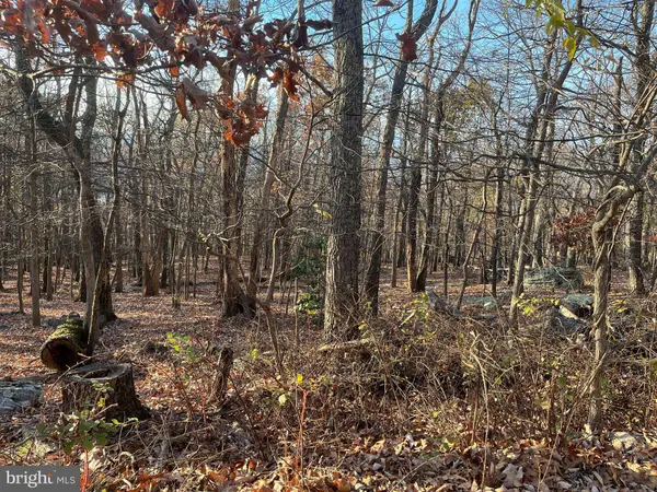 ALTA VISTA, Harpers Ferry, WV 25425