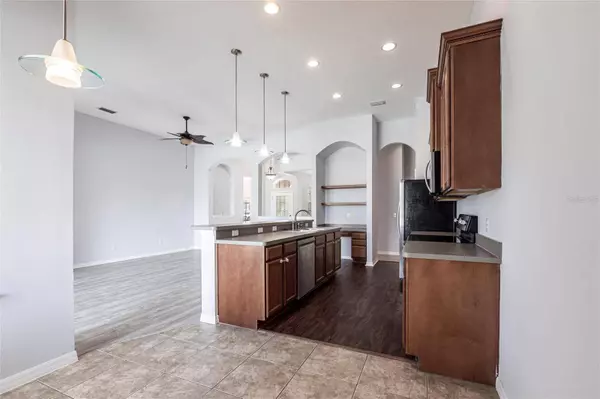 11715 SUMMER SPRINGS DR, Riverview, FL 33579