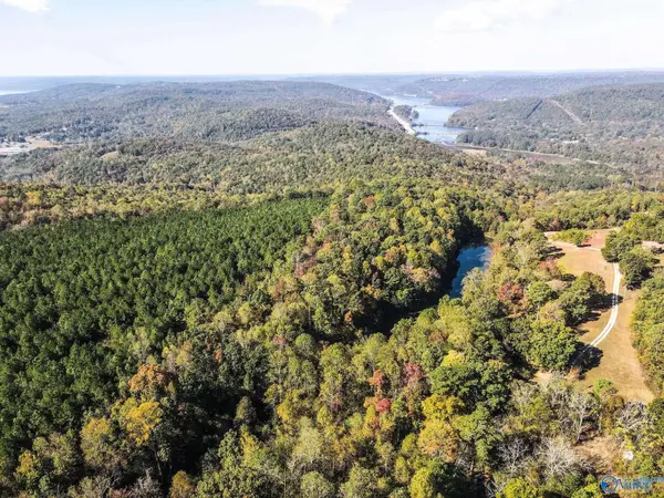 63 Mccorkle Mountain Road, Scottsboro, AL 35769