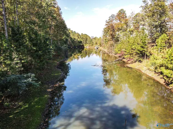 63 Mccorkle Mountain Road, Scottsboro, AL 35769