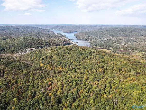 63 Mccorkle Mountain Road, Scottsboro, AL 35769