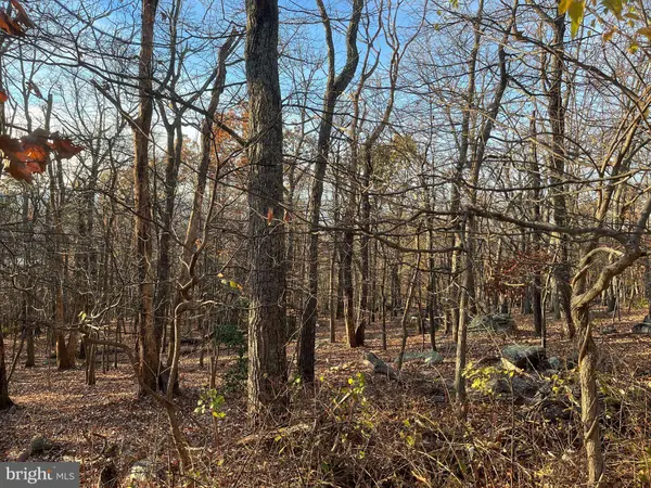 ALTA VISTA, Harpers Ferry, WV 25425