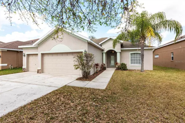 11715 SUMMER SPRINGS DR, Riverview, FL 33579