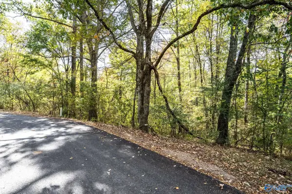 63 Mccorkle Mountain Road, Scottsboro, AL 35769