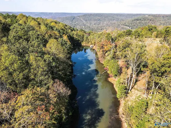 63 Mccorkle Mountain Road, Scottsboro, AL 35769