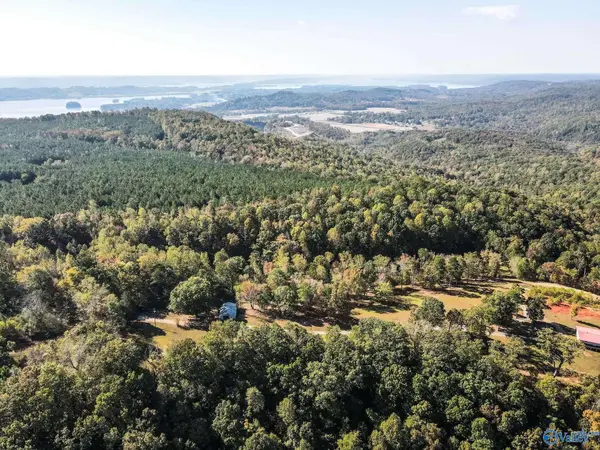 63 Mccorkle Mountain Road, Scottsboro, AL 35769