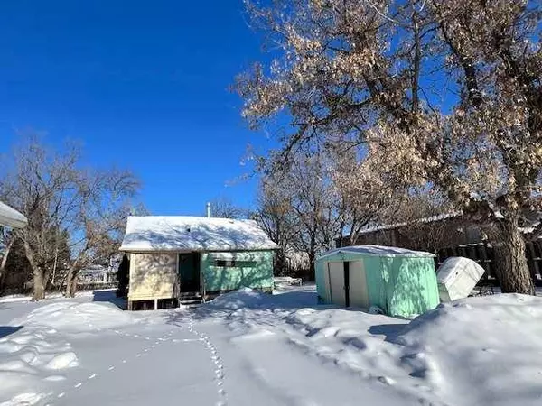 208 2nd AVE E, Alliance, AB T0B 0A0