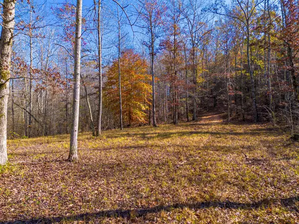 0 Grinders Creek Rd, Hohenwald, TN 38462