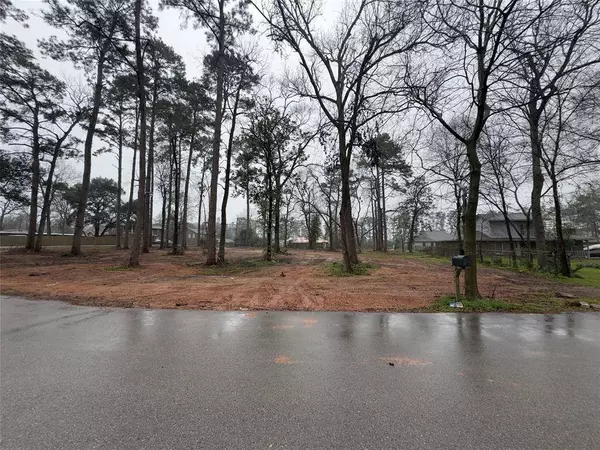 624 Rock Bass RD, Conroe, TX 77384