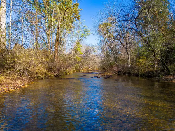 0 Grinders Creek Rd, Hohenwald, TN 38462