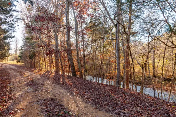 0 Grinders Creek Rd, Hohenwald, TN 38462