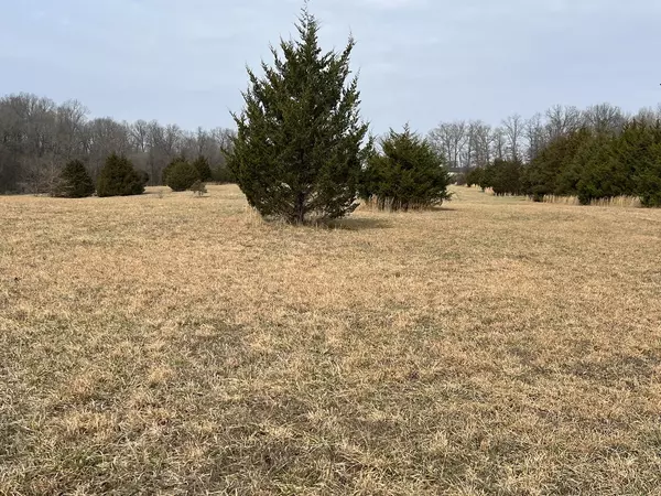 40 Acres in Mammoth Spring Arkansas