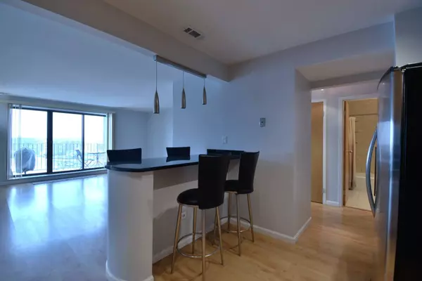 1717 W Crystal LN #503, Mount Prospect, IL 60056