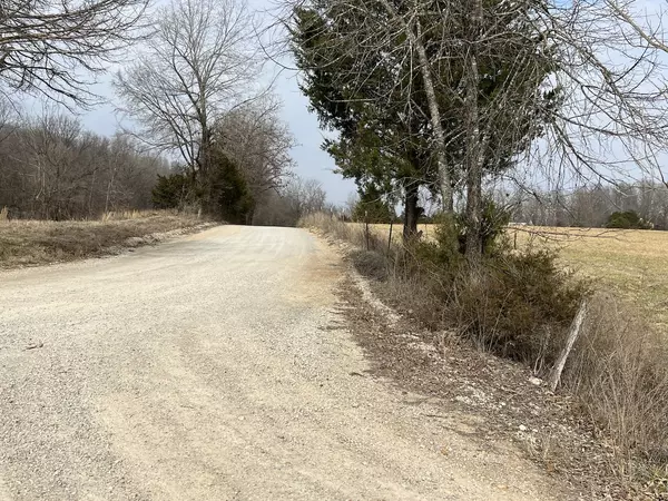 Deer on 40 Acres in Mammoth Spring Arkansas