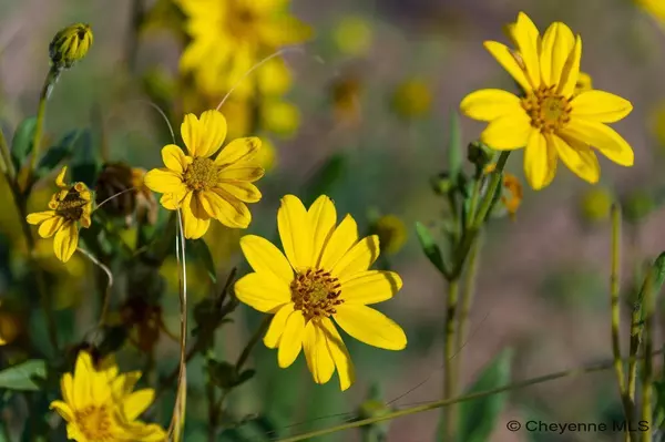 Lot 366 Carribean Rd, Cheyenne, WY 82009
