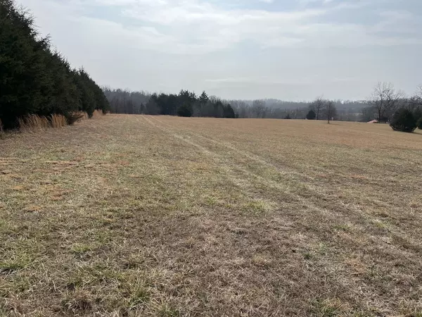 40 Acres in Mammoth Spring Arkansas