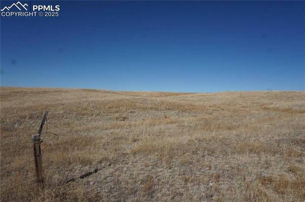 Unknown, Rush, CO 80833