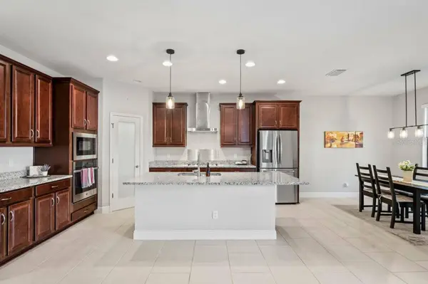 3893 BURDICK LOOP, Odessa, FL 33556