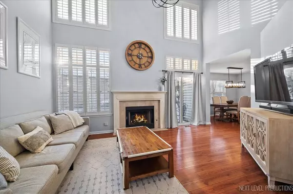 342 S Jewel CT, Palatine, IL 60074