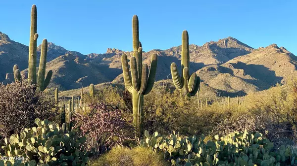 S Cow Creek Road #61, Morristown, AZ 85342