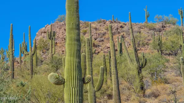 S Cow Creek Road #61, Morristown, AZ 85342