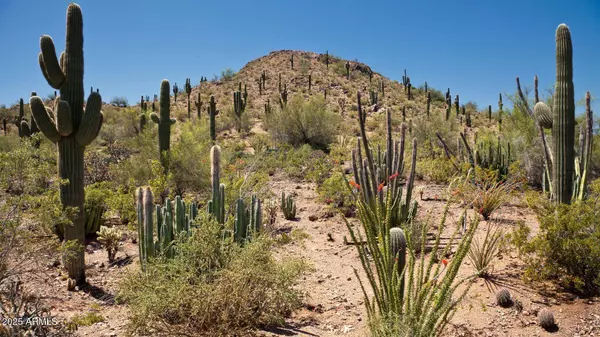 S Cow Creek Road #61, Morristown, AZ 85342