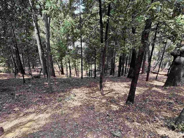 17211 Nile River, Sonora, CA 95370