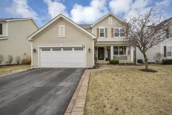 250 JOHN M BOOR DR, Gilberts, IL 60136