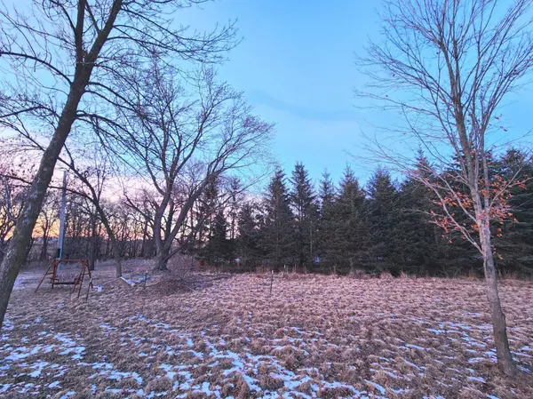 27454 425th LN, Arlington Twp, MN 55307