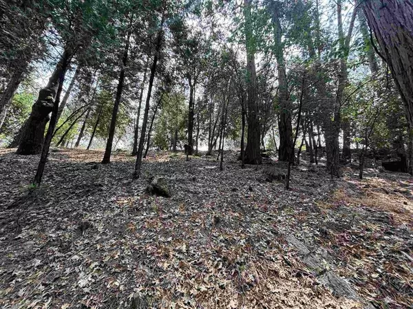 17211 Nile River, Sonora, CA 95370