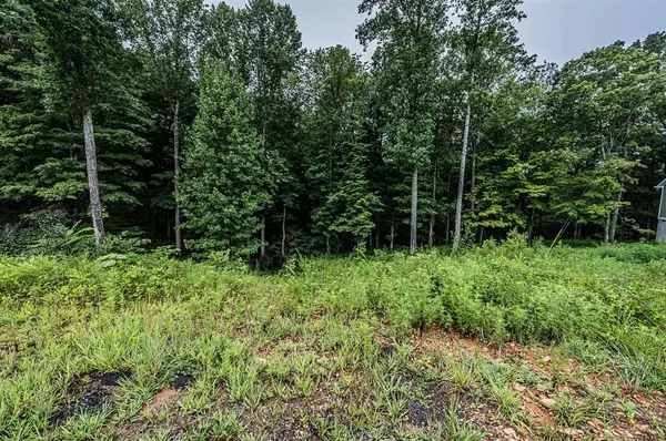 Lot 16 Vance Drive, Scottsville, KY