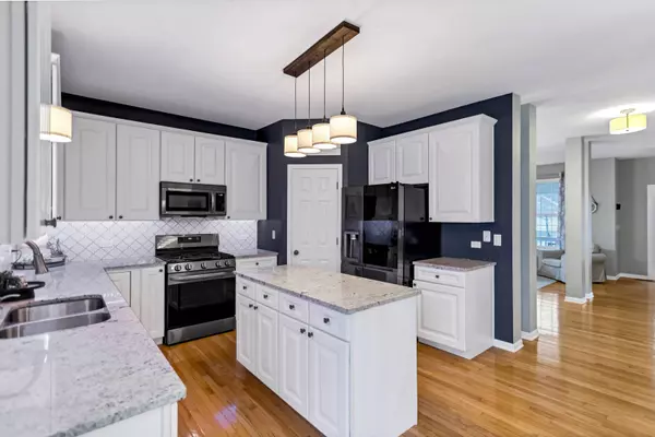 250 JOHN M BOOR DR, Gilberts, IL 60136