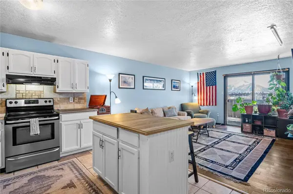 505 Straight Creek DR #302, Dillon, CO 80435