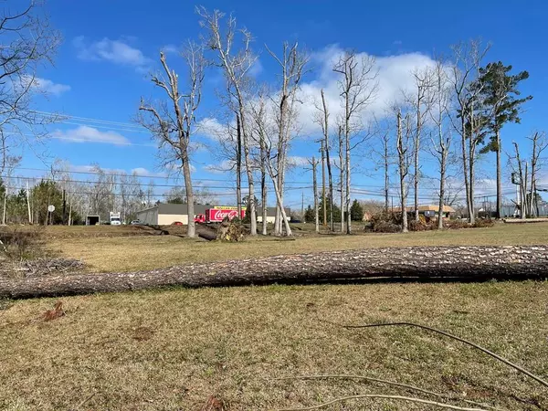 0 E Spring St, Mt. Vernon, GA 30445