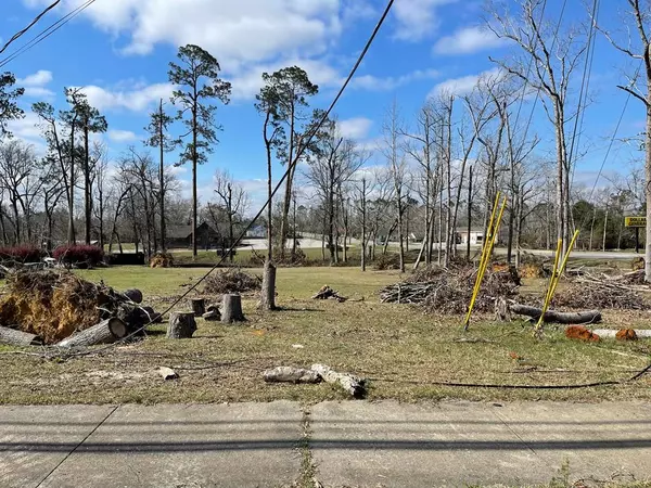 0 E Spring St, Mt. Vernon, GA 30445