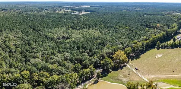 0 Old Plain Dealing, Plain Dealing, LA 71064