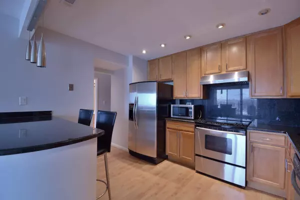 1717 W Crystal Lane #503, Mount Prospect, IL 60056