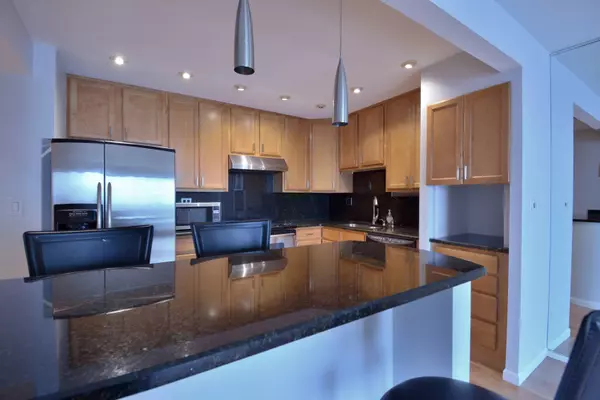 1717 W Crystal Lane #503, Mount Prospect, IL 60056