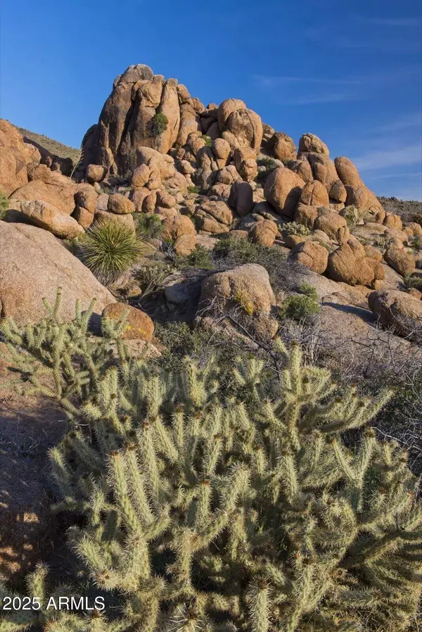 0 Carmen Rd & Allison Dr -- #-, Yucca, AZ 86438