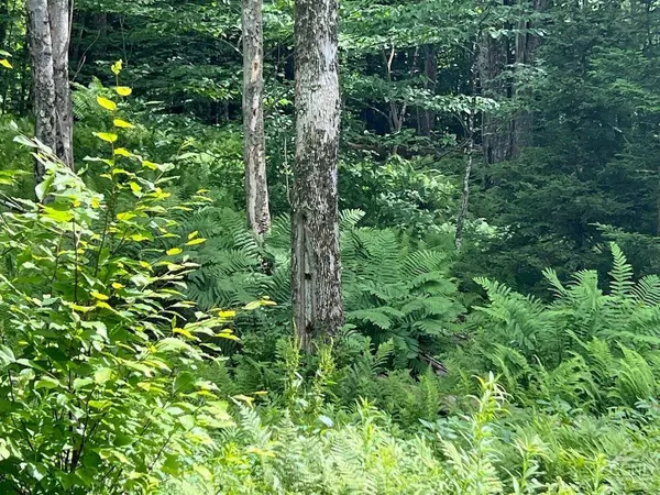 0 North Lake RD, Hunter, NY 12442