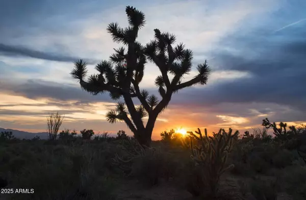 0 Carmen Rd & Allison Dr -- #-, Yucca, AZ 86438