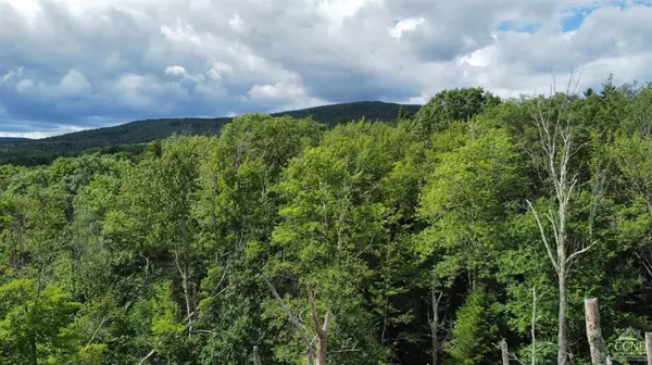 0 North Lake RD, Hunter, NY 12442