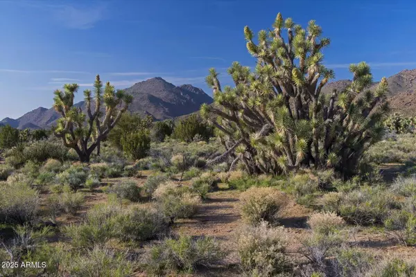 0 Carmen Rd & Allison Dr -- #-, Yucca, AZ 86438