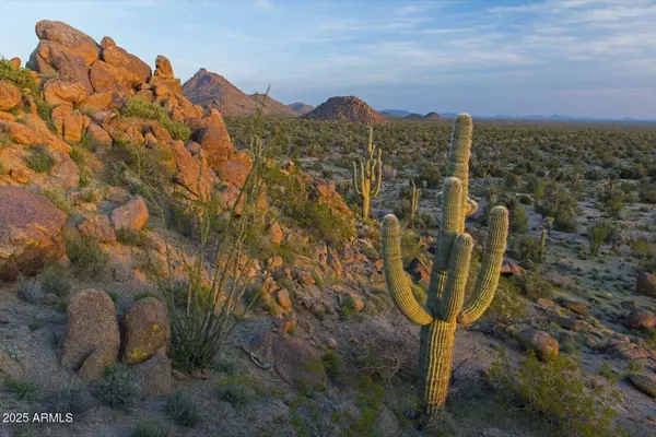 0 Carmen Rd & Allison Dr -- #-, Yucca, AZ 86438