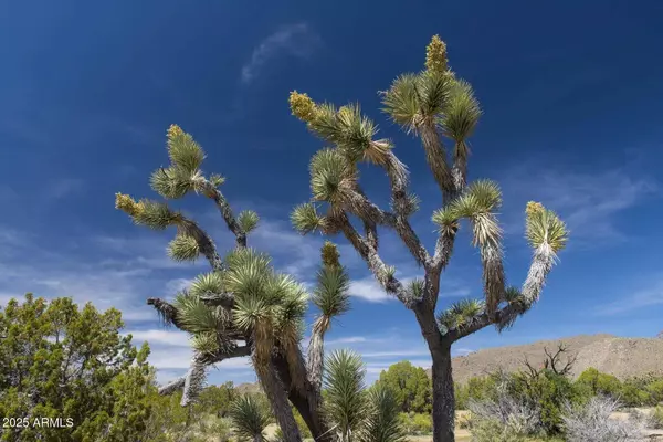 0 Carmen Rd & Allison Dr -- #-, Yucca, AZ 86438