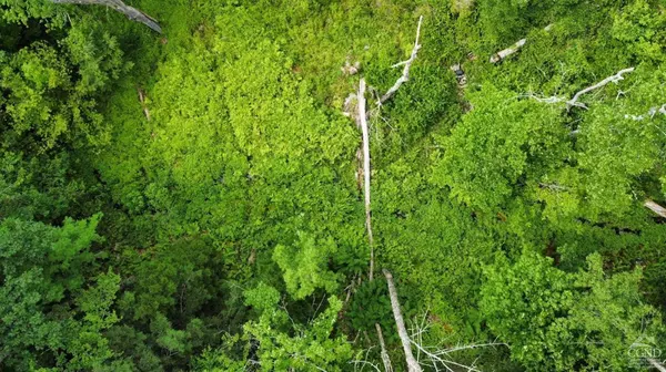 0 North Lake RD, Hunter, NY 12442