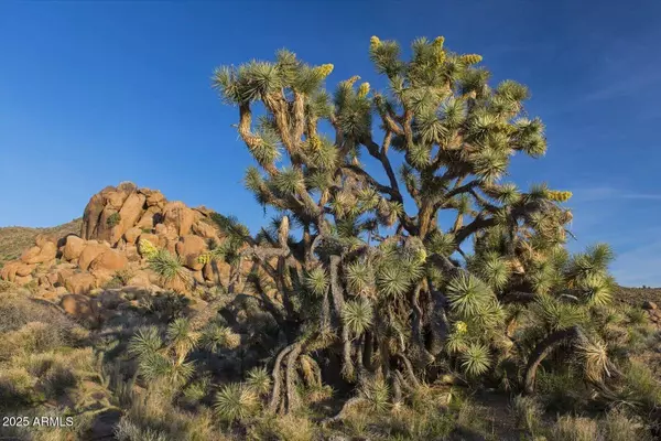 0 Carmen Rd & Allison Dr -- #-, Yucca, AZ 86438